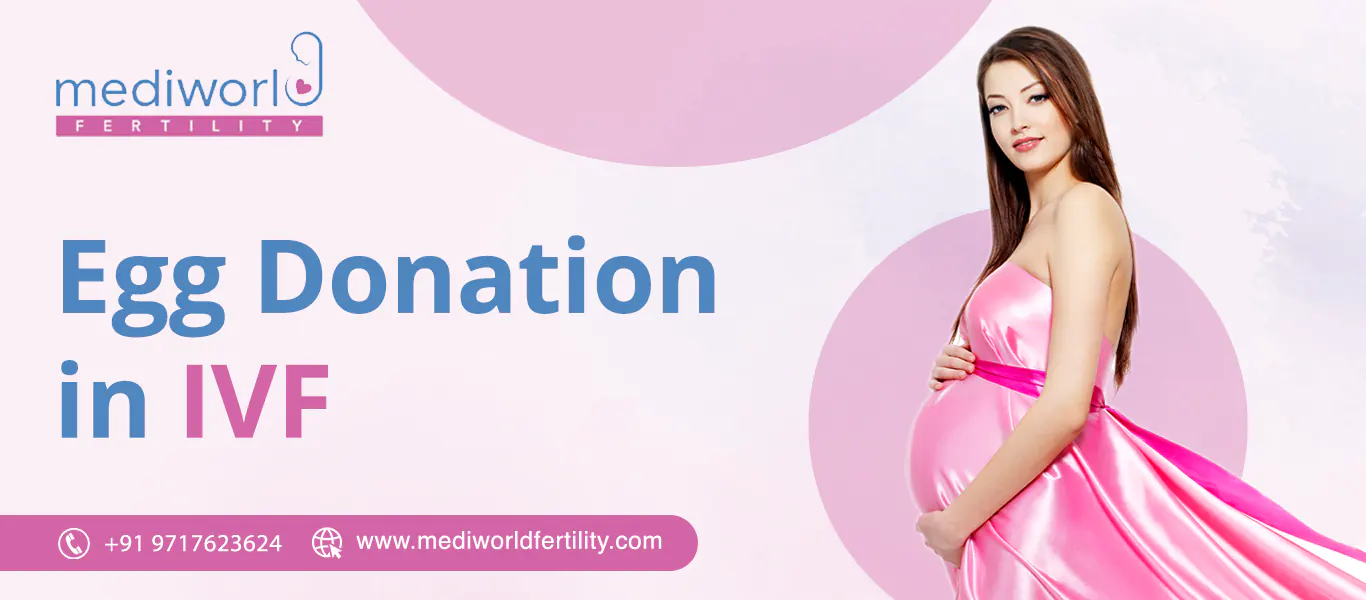 Egg Donor IVF: All You Need To Know